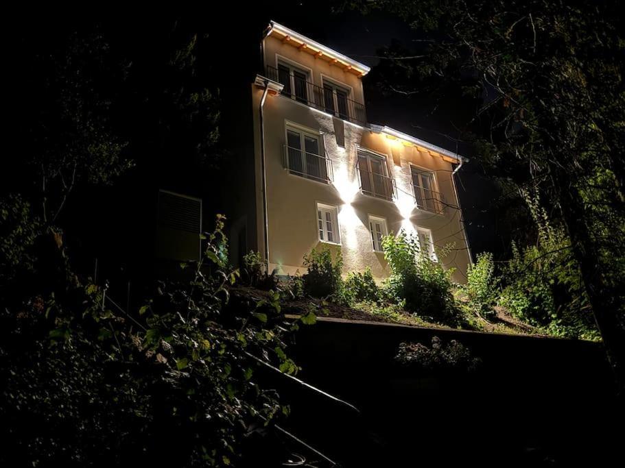 Zur Donauinsel Apartamento Bad Abbach Exterior foto