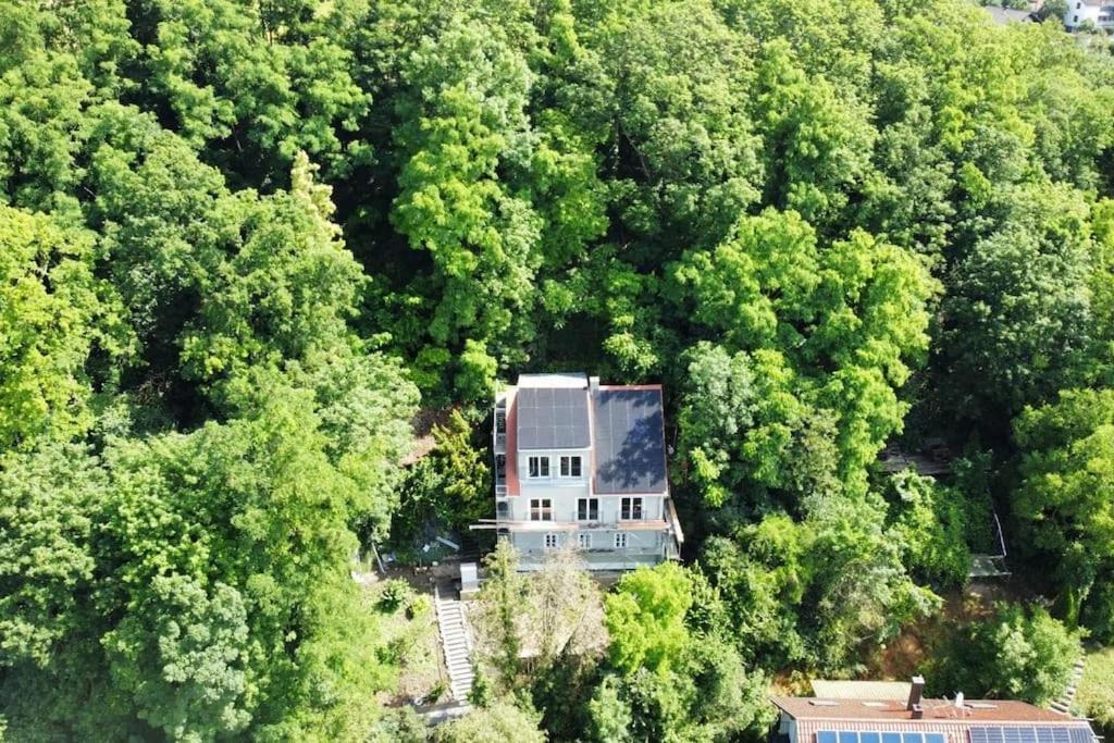Zur Donauinsel Apartamento Bad Abbach Exterior foto